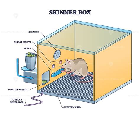 skinner box electric shock|skinner box design.